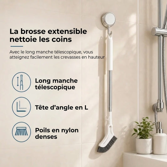 Brosse de nettoyage extensible pour fentes