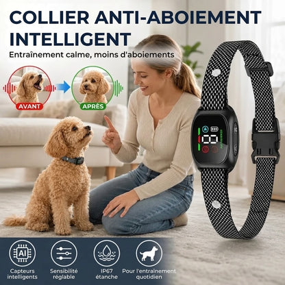 Collier Anti-Aboiement – Respectueux des animaux et réglable