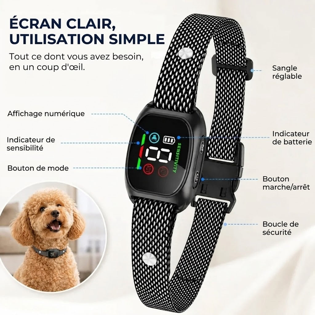 Collier Anti-Aboiement – Respectueux des animaux et réglable