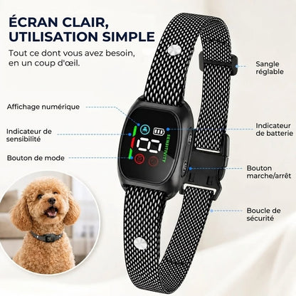 Collier Anti-Aboiement – Respectueux des animaux et réglable