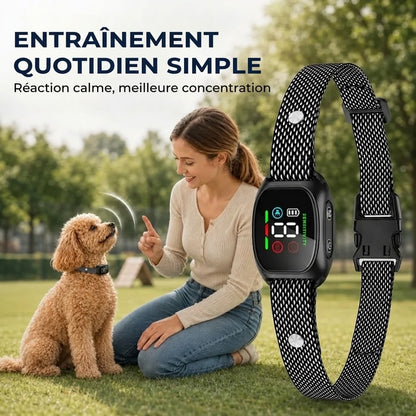 Collier Anti-Aboiement – Respectueux des animaux et réglable