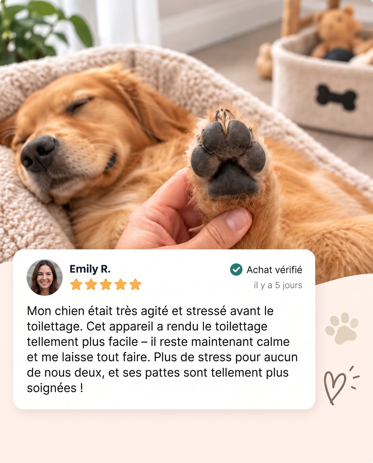 PawHush – Tondeuse de toilettage sans fil